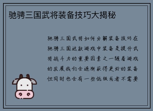 驰骋三国武将装备技巧大揭秘